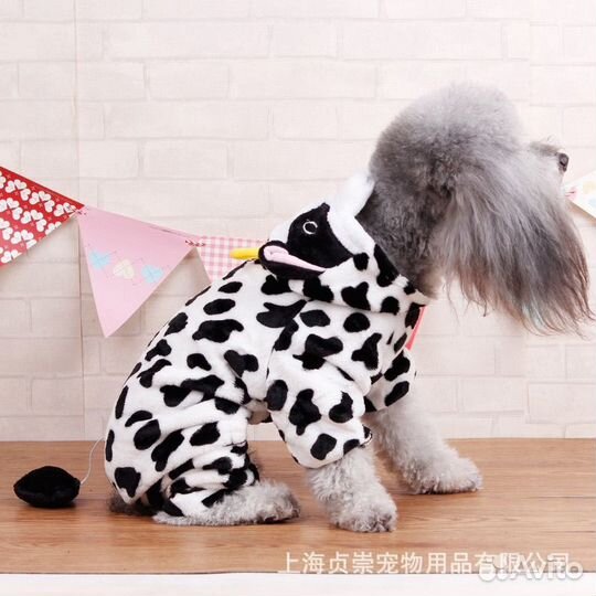 Костюм для собаки или кошки