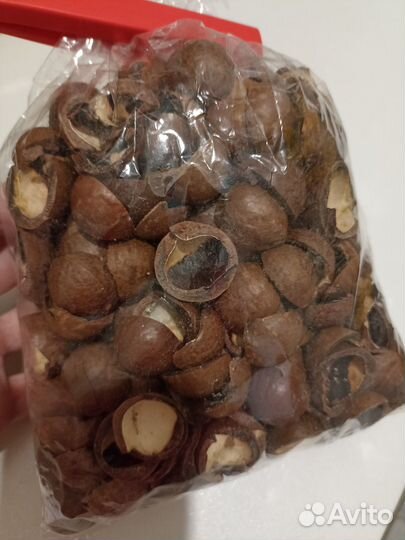 Скорлупа ореха макадамия