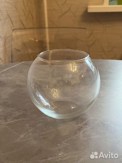 Флорариум новый