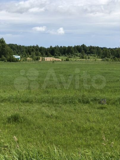 Участок 4,1 га (СНТ, ДНП)