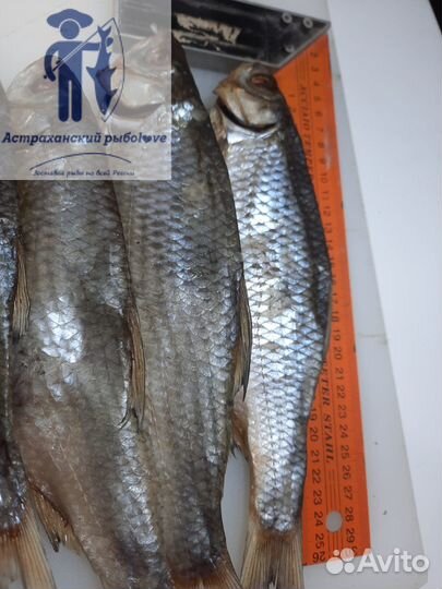 Вяленая астраханская вобла/Отправляем посылку