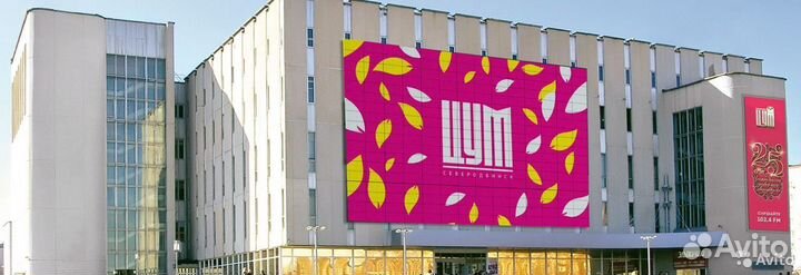 Монитор LG 24