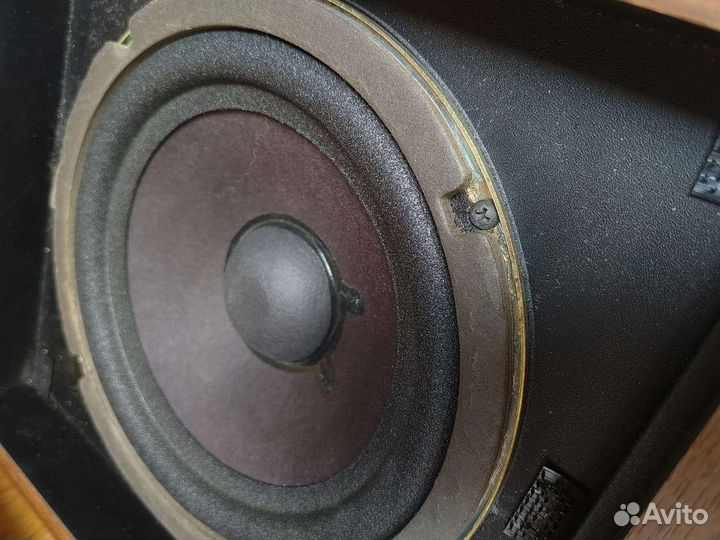 Bose 301, part 2. Колонки, Акустика