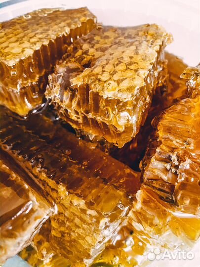 Свежий мёд 2023