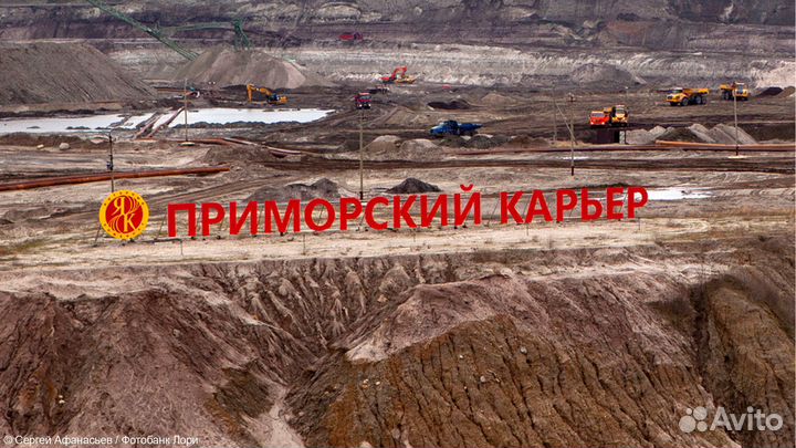 Янтарный берег - автобусная экскурсия