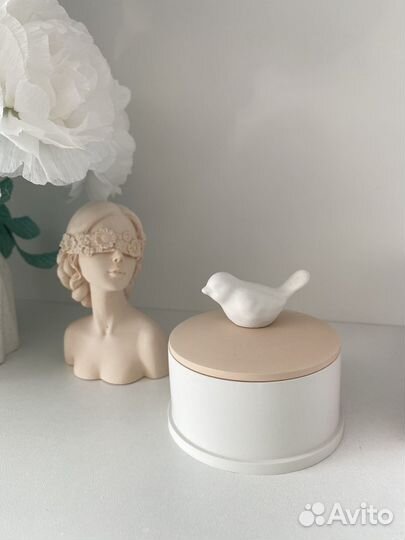 Набор из гипса