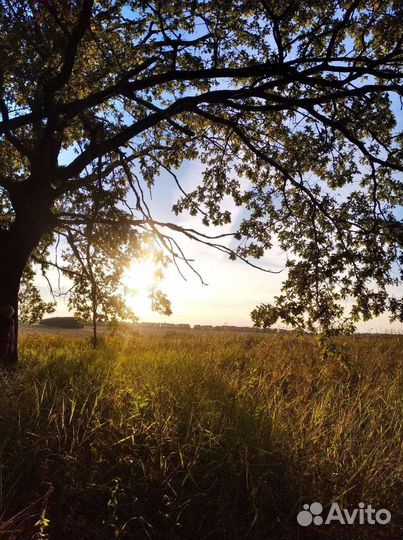 Обработка фотографий ретушь онлайн