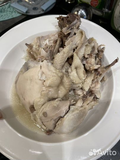 Курица для собаки