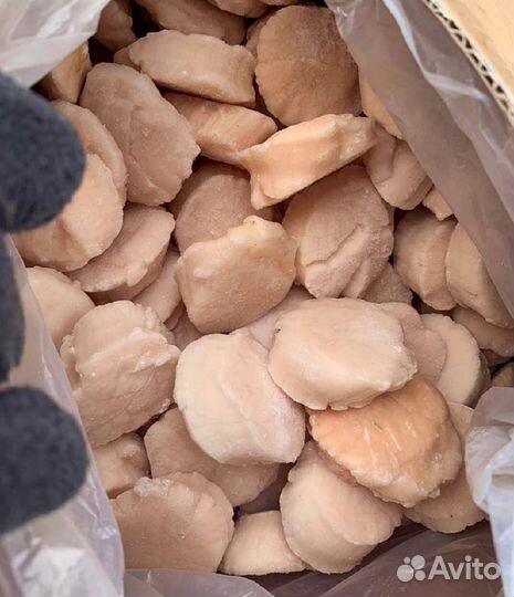 Гребешок Сахалин