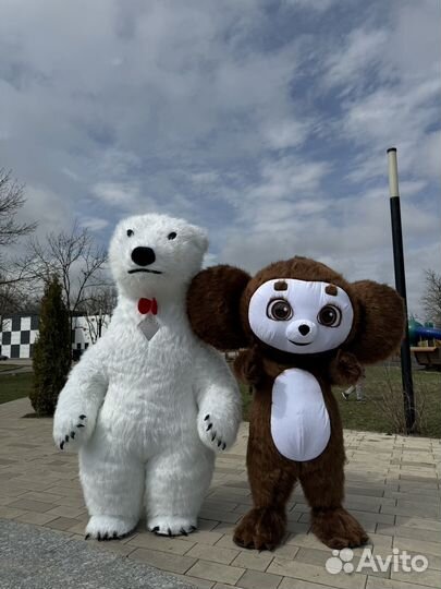 Белый мишка поздравление