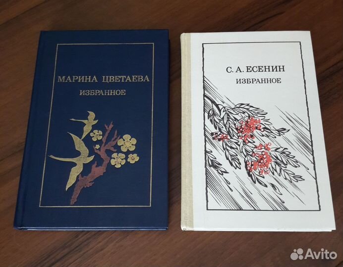 Поэзия книги