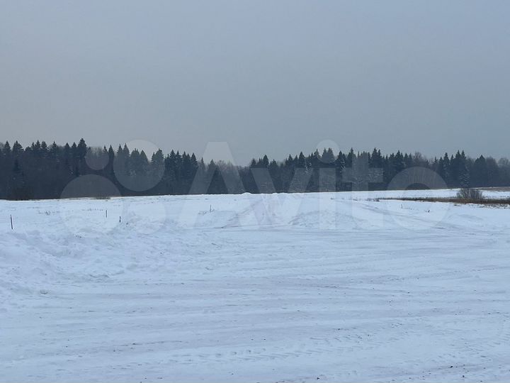 Участок 6 сот. (СНТ, ДНП)