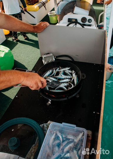 Рыбалка на 3 часа в Адлере / Сириусе