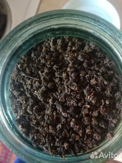 Иван Чай (Кипрей)