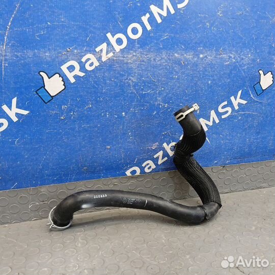 Патрубок радиатора Renault Arkana