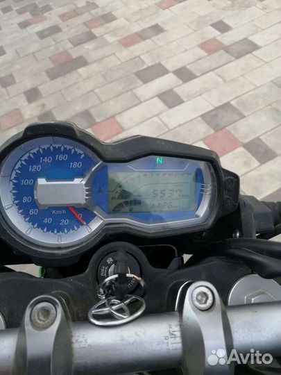 Regulmoto T-Leopard 300