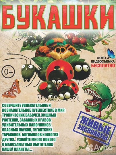 Кассир на выставку