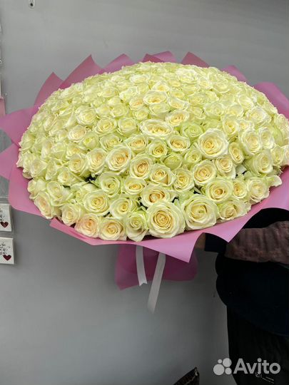 Розы 25 Роза 31 Роза 51 Роза 101.Ароматный розы