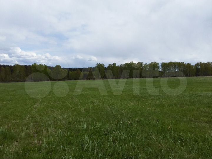 Участок 1,84 га (СНТ, ДНП)
