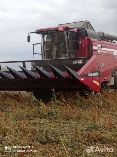 Уборка подсолнечника