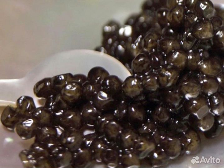 Черная икра