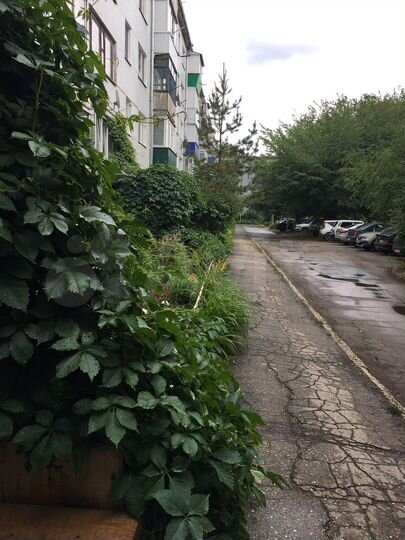 1-к. квартира, 29,3 м², 1/5 эт.