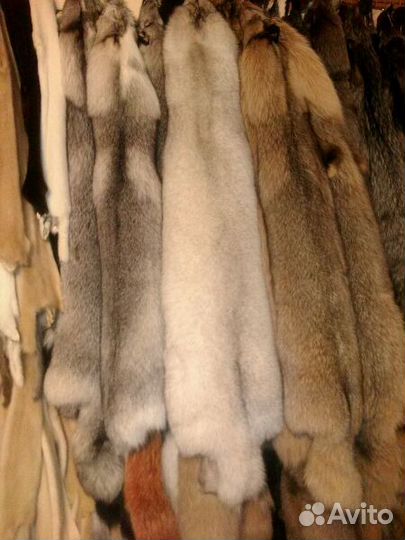 Большие шкурки лисы, Чернобурки 