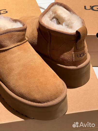 Замшевые Ugg рыжие