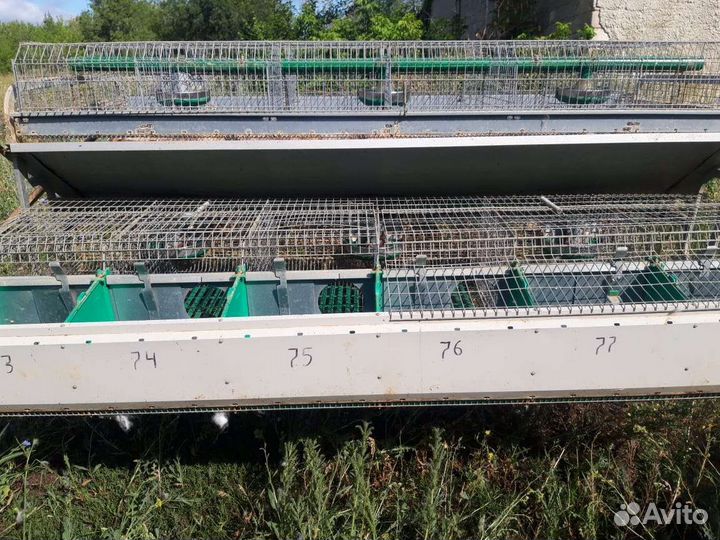 Клетки промышленные для кроликов итальянские
