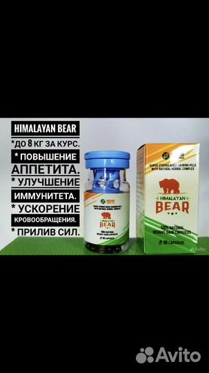 Bear /масса