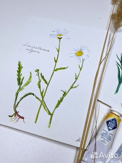 Картина маслом ботаника