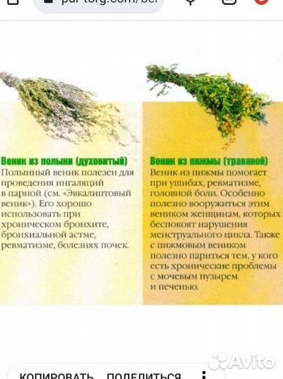 Веники для бани берёзовые