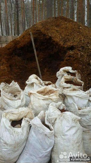 Коровий навоз