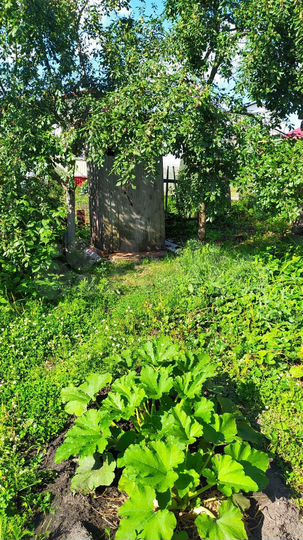 Дом 50 м² на участке 3 сот.