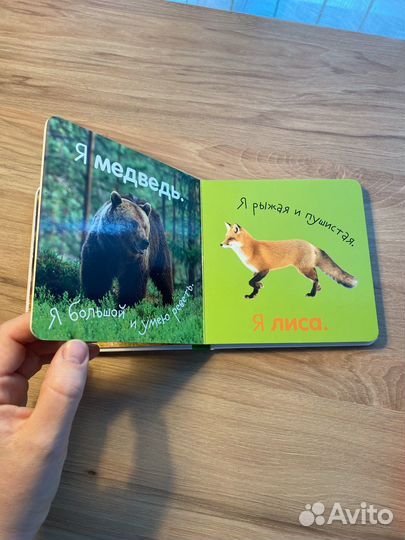 Книга для малыша Clever