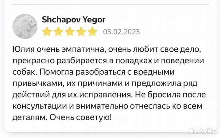 Кинолог, дрессировка собак