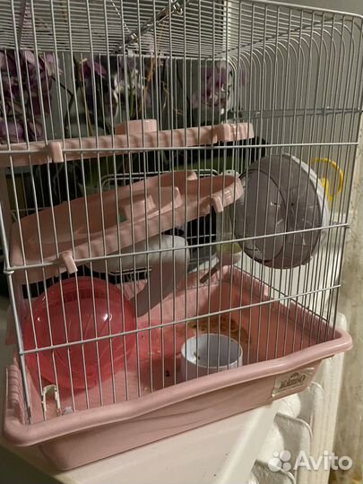 Клетка для грызунов большая
