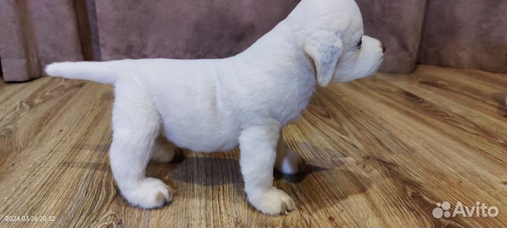 Собака реалистичная игрушка