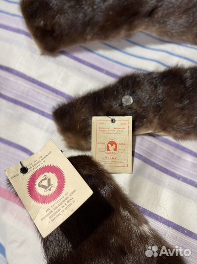 Шкурка животного