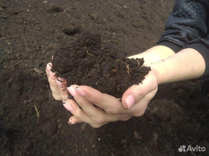 Песок Гравий Щебень Асфальт Грунт