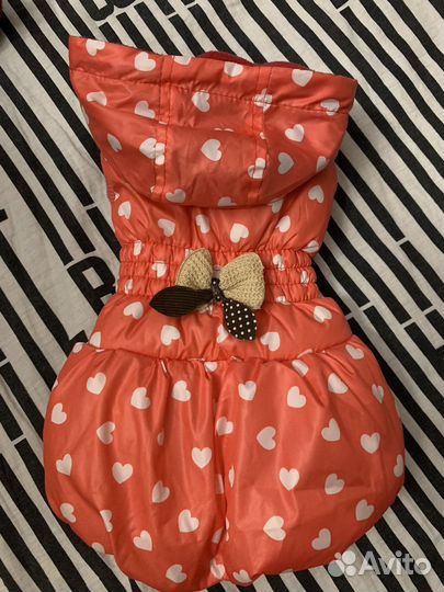 Одежда для маленьких собак