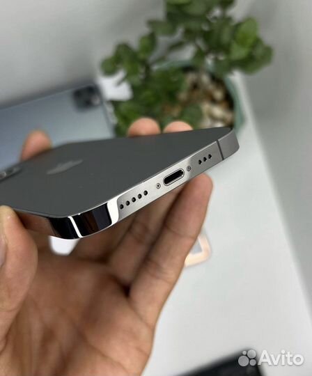 iPhone 12 Pro Max, 256 ГБ