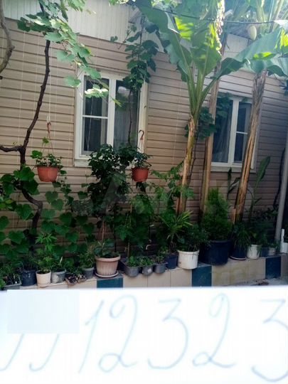 Дом 25 м² на участке 3 сот.