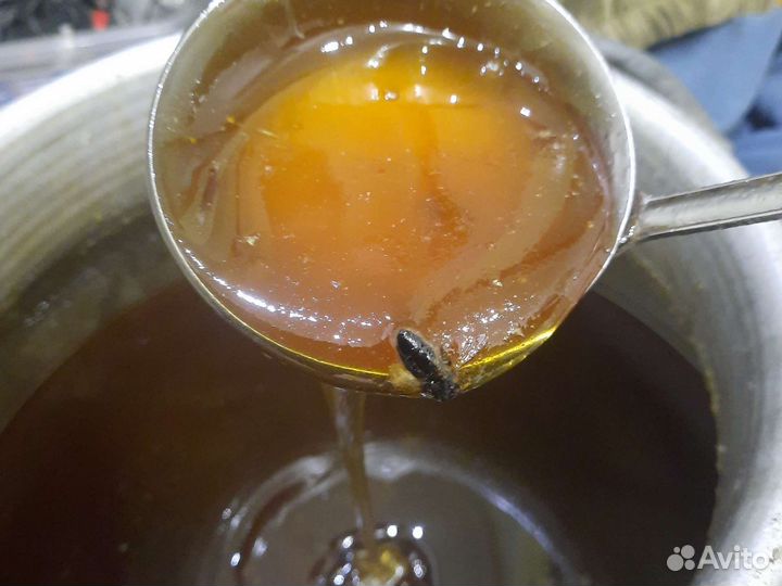 Мед таёжный акация Чарышский липовый гречишный