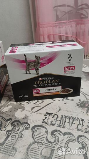 Влажный корм для кошек Pro Plan