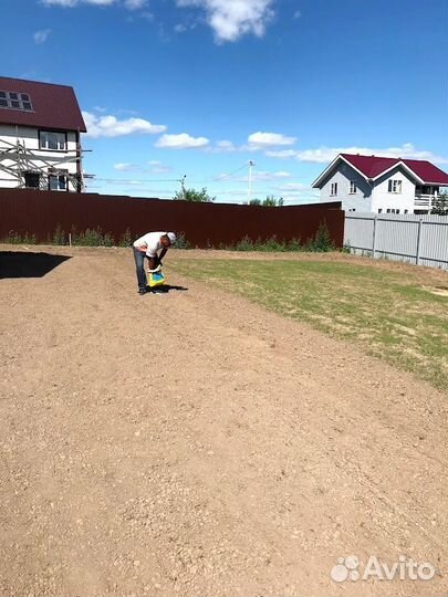 Газон, посев газона, стрижка