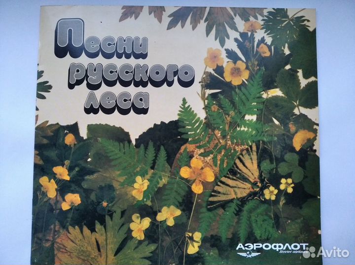Песни русского леса