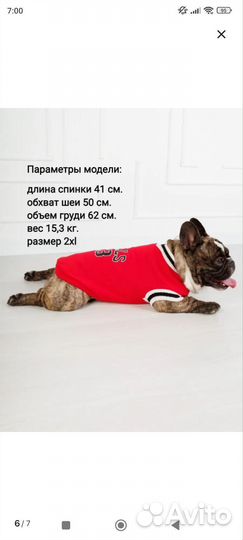 Жилетка для собаки