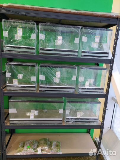 Террариум для рептилий