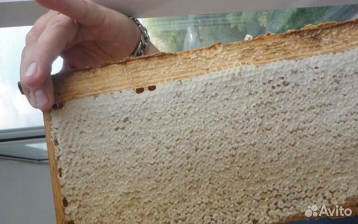 Мёд натуральный алтайский опт. min 16kg